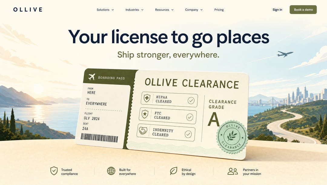 A boarding-pass style clearance certificate over a painted landscape. Concept, round 4. Not shipped.