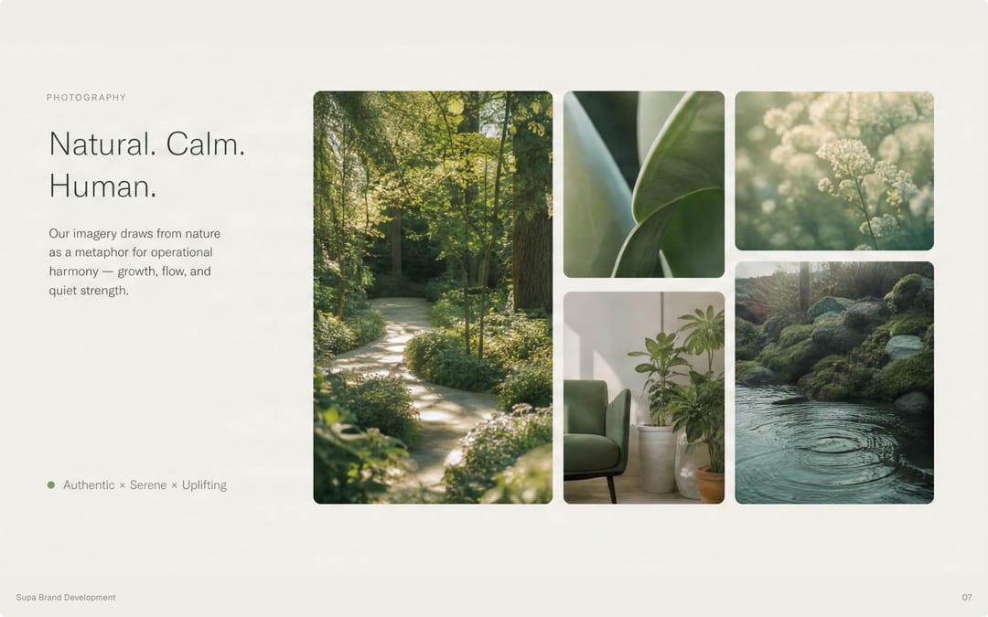 A set of photographs of a garden, a leaf and water. Shipped.
